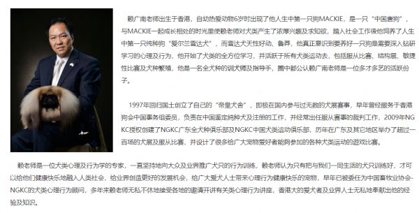 柯基定点大小便训练
