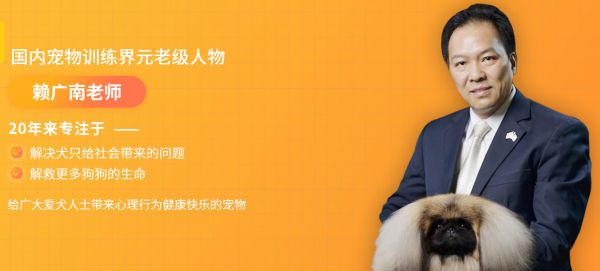 有丰富柴犬宠物训练经验的训狗中心——帝皇宠物