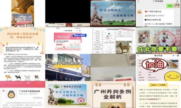 在广州不办狗证会怎样