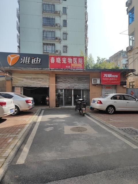 铜陵宠物医院,铜陵宠物医院哪家最好