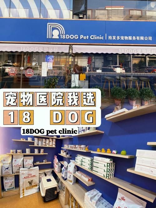 铜陵宠物医院,铜陵宠物医院哪家最好
