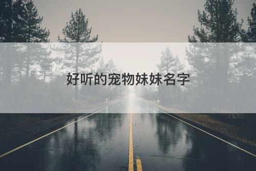 好听的宠物妹妹名字