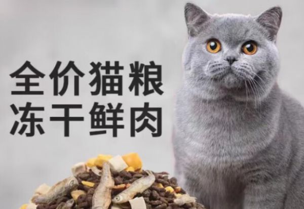 法氏公爵，专为活力四射的土猫设计