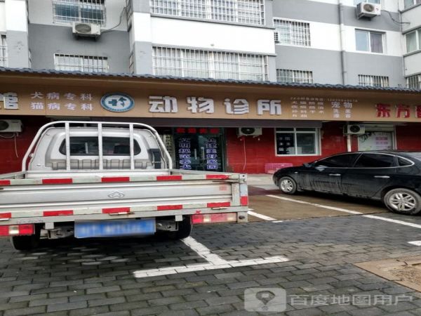 全心犬意动物诊所