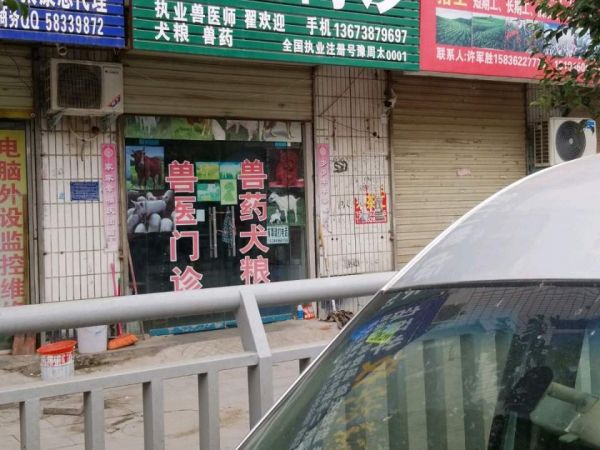 老翟动物门诊