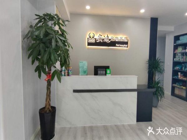 安迪宠物医院