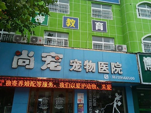 尚宠宠物医院(颍河路店)