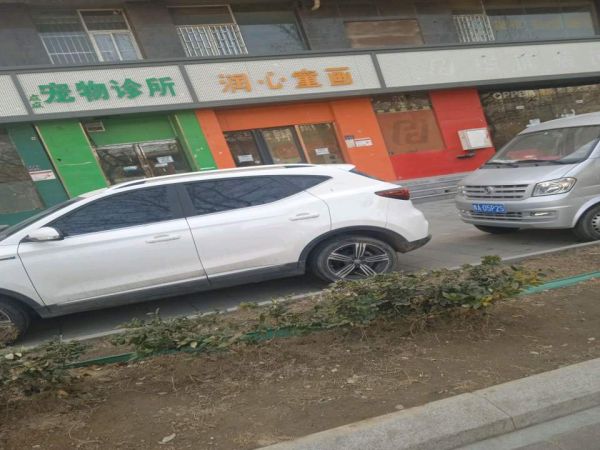 点点宠物诊所