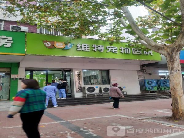 泽一宠物医院