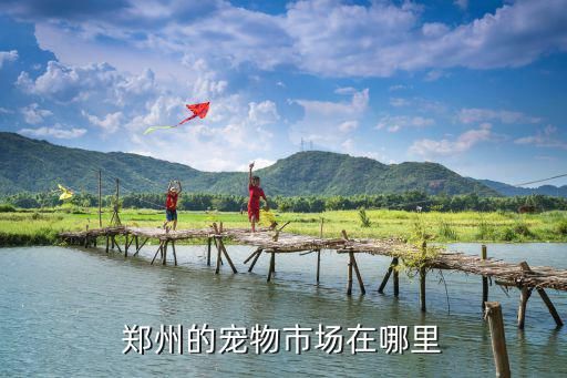 郑州的宠物市场在哪里