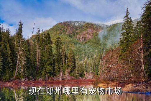现在郑州哪里有宠物市场