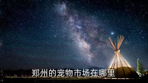 郑州的宠物市场在哪里