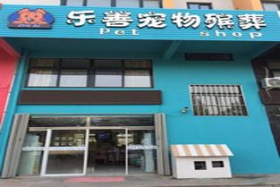 宠物殡葬加盟：如何开一家成功的宠物殡葬店？宠物殡葬行业的市场前景和经营技巧