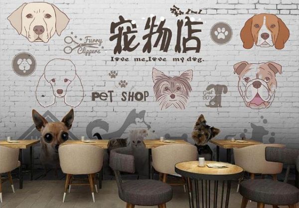 宠物店加盟大概多少钱