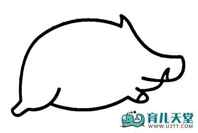 幼儿园动物简笔画桥野猪的画法动物简笔画-42kb