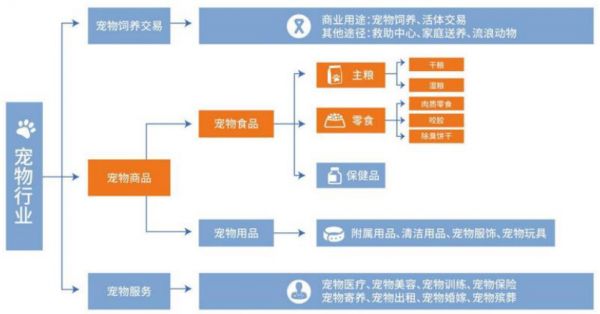 宠物经济龙头股票有哪些 宠物经济概念股一览
