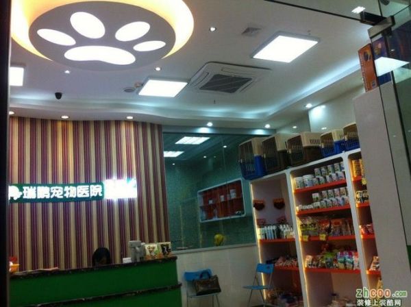 长兴宠物医院,长兴宠物医院有几家