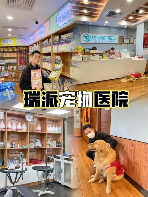 长兴宠物医院,长兴宠物医院有几家