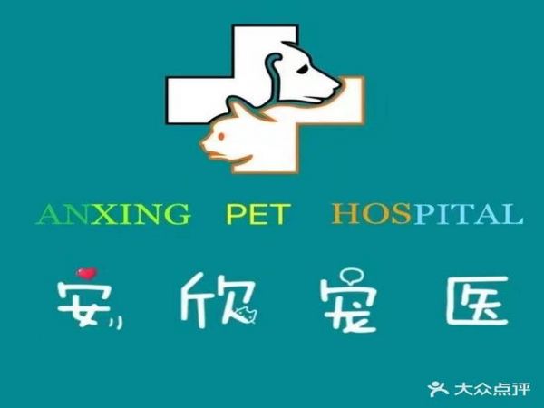 安吉安欣宠物医院