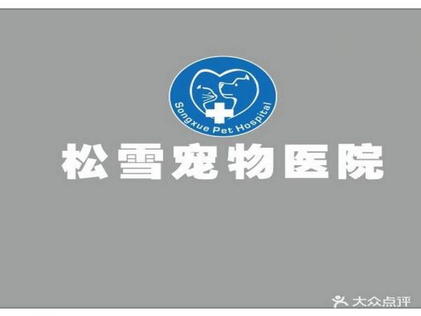 松雪宠物医院