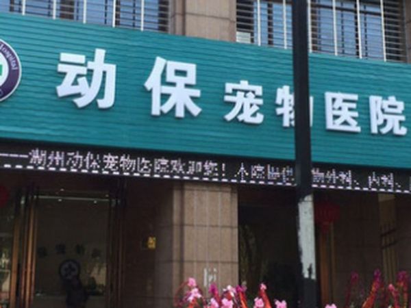 动保宠物医院(凤凰店)