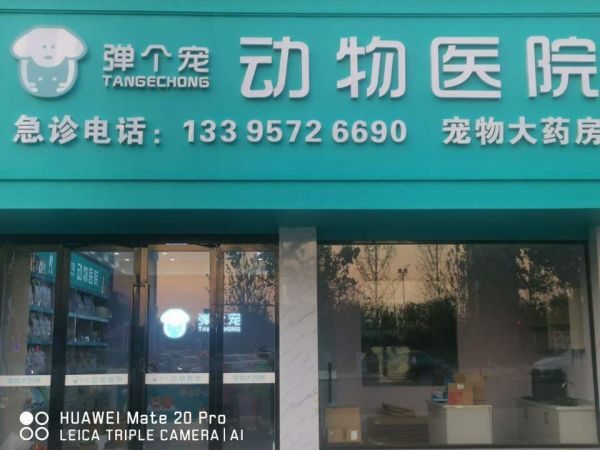 弹个宠动物医院