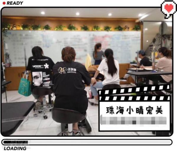 珠海小晴国际宠物美容培训学院 教学现场