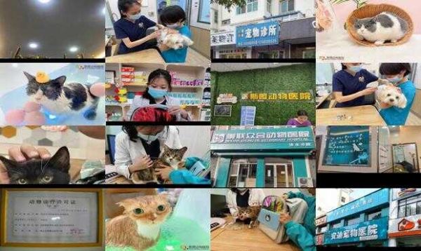 柳州斯图宠物医院怎么样