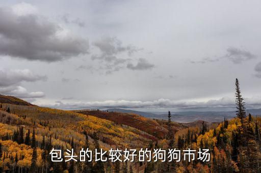 包头的比较好的狗狗市场