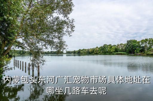 内蒙包头东河广汇宠物市场具体地址在哪坐几路车去呢