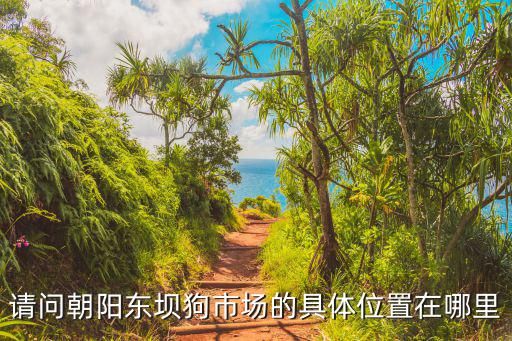 请问朝阳东坝狗市场的具体位置在哪里