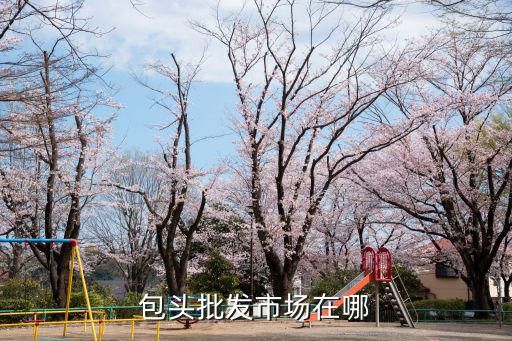 包头批发市场在哪