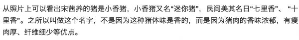 宋茜的宠物猪是什么品种，最大能长多大？