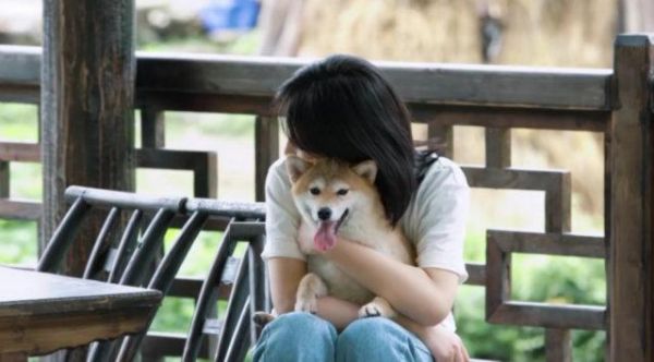 宋茜官宣领养《向往的生活3》狗狗小碗妹，锅碗瓢盆人不如狗系列