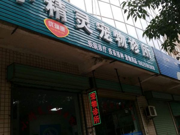 小精灵宠物诊所(安泰街店)