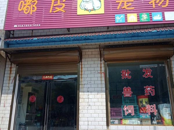 嘟皮宠物