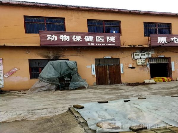 动物保健医院