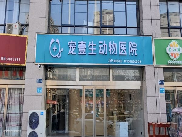 宠壹生动物医院(猫科·皮肤病专科)