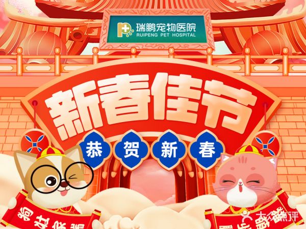 美联众合动物医院(宝龙店)