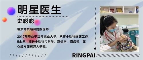 宠物生病了怎么办？？宣城宠物医院的专业诊疗指南