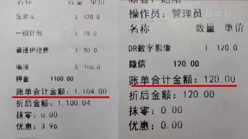 宠物生病了怎么办？？宣城宠物医院的专业诊疗指南