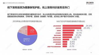 宠物生病了怎么办？？宣城宠物医院的专业诊疗指南