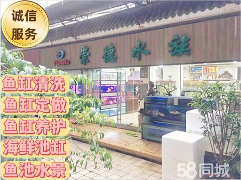 崇德水族·武汉上门鱼缸清洗鱼缸养护鱼缸定做鱼缸维护 咨询价更优