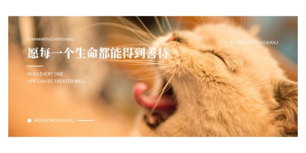 南京宠物殡葬***需要投资多少,宠物殡葬***