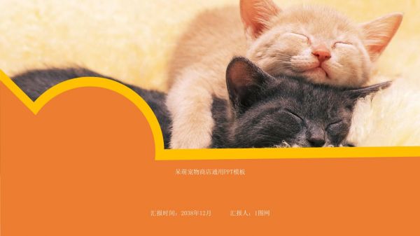 简笔画可爱卡通宠物行业ppt模板呆萌猫咪狗萌宠物店动物医生课件 (68)