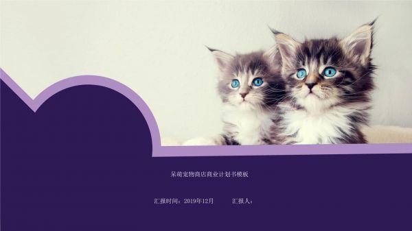 简笔画可爱卡通宠物行业ppt模板呆萌猫咪狗萌宠物店动物医生课件 (88)