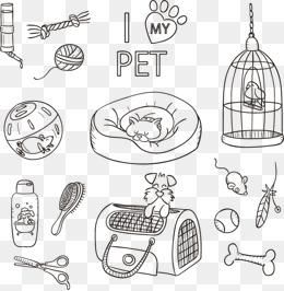 宠物物品简笔画