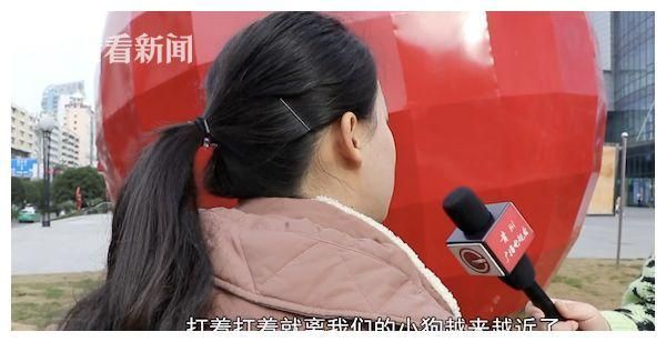 爱犬被一口咬死！涉事犬主人逃避协商：狗咬的，与我无关