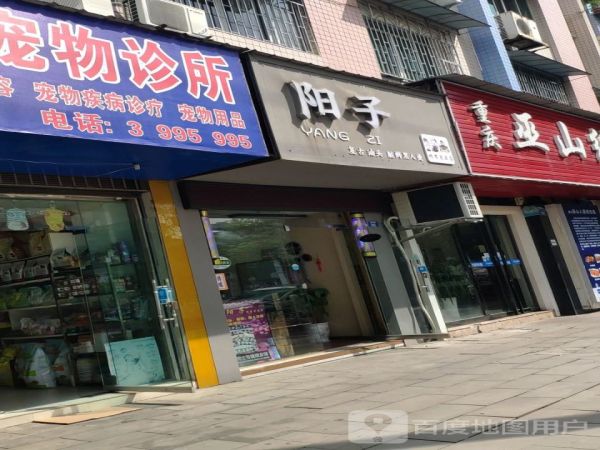 995宠物诊所
