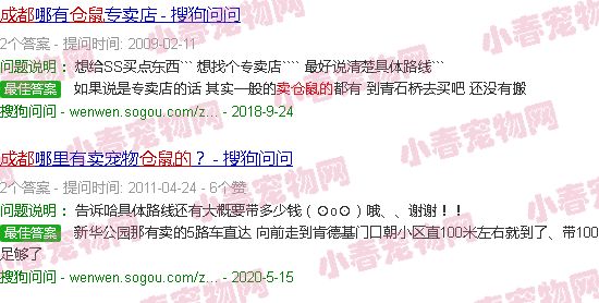 成都卖仓鼠的宠物店